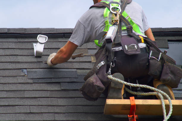 Best Roof Gutter Cleaning  in Nice, CA